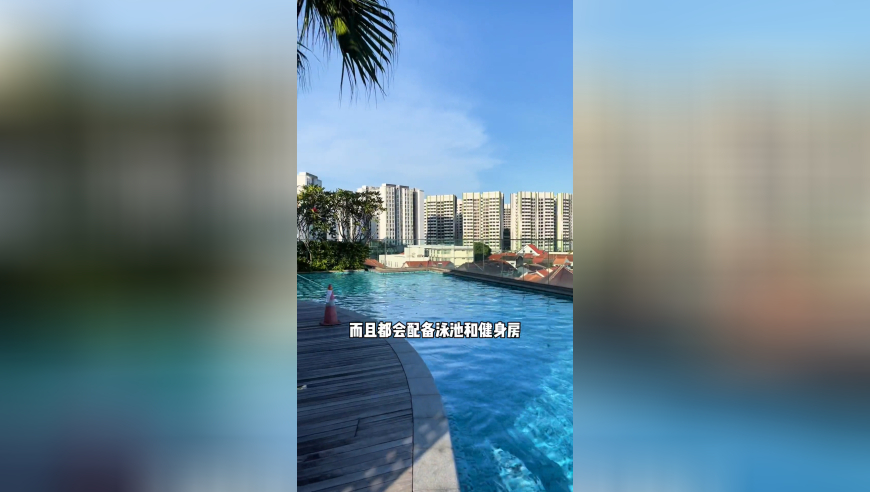 白鹿打开十年前相册,2025今晚香港开奖结果,确保成语解释落实的问题_入门版V10.96