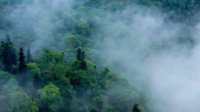 BBC无端指责：西方停用新疆番茄的荒谬呼吁与中方坚定驳斥